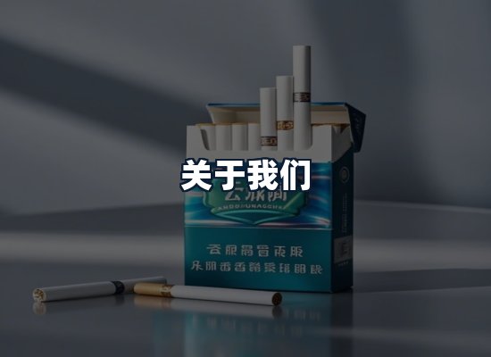 关于我们